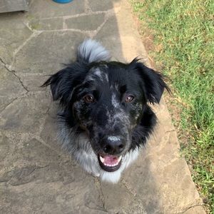 Meet your Posher, Tonya